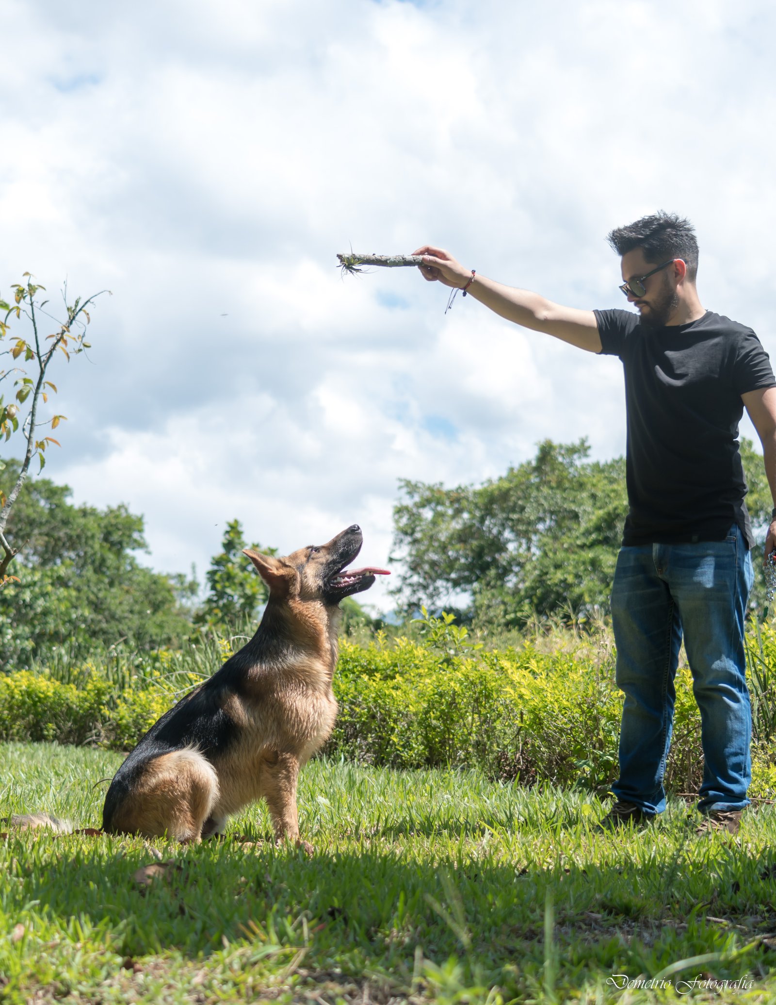 Fotografía de mascotas en Costa Rica 27