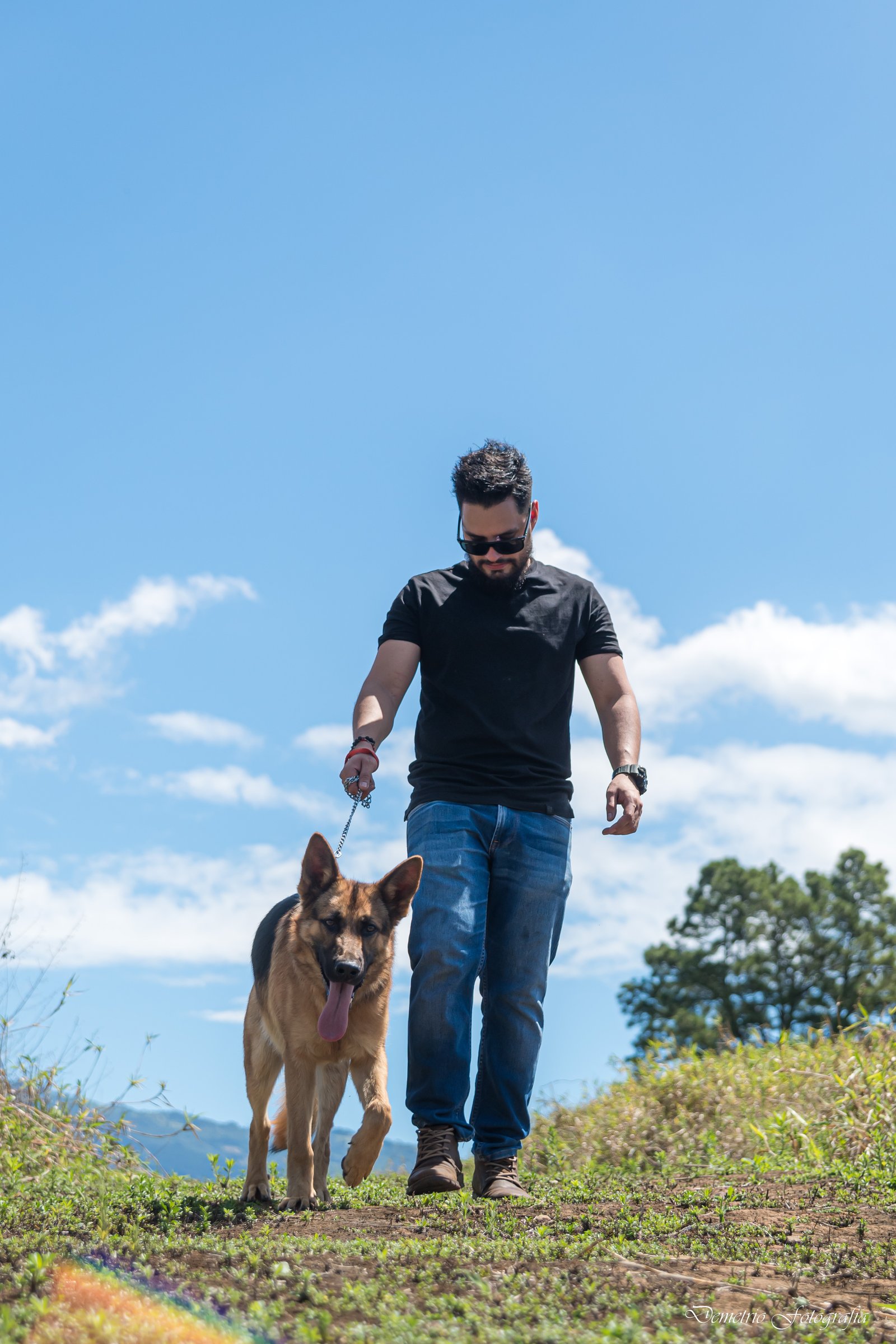 Fotografía de mascotas en Costa Rica 29