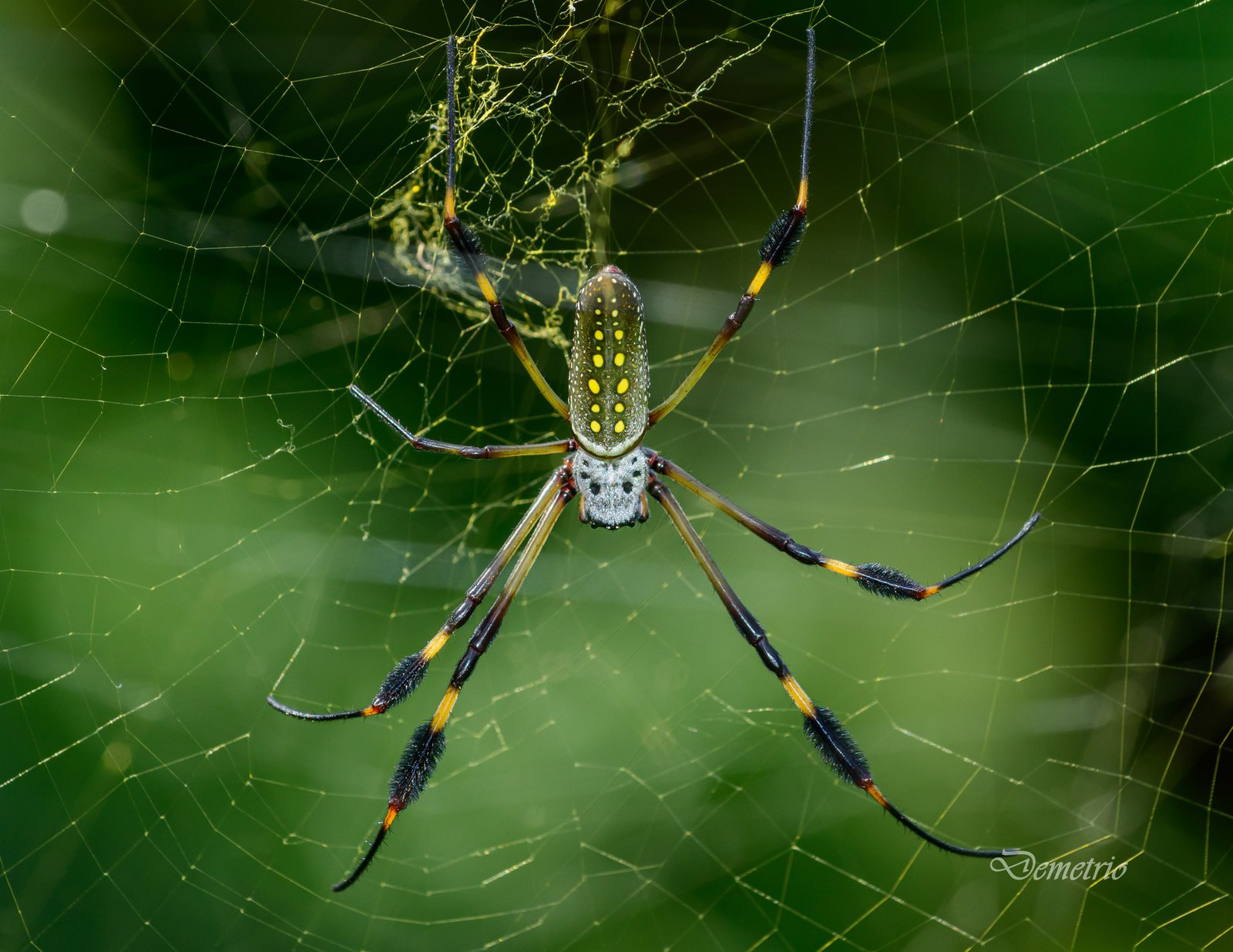 Fotografía de naturaleza en Costa Rica 30
