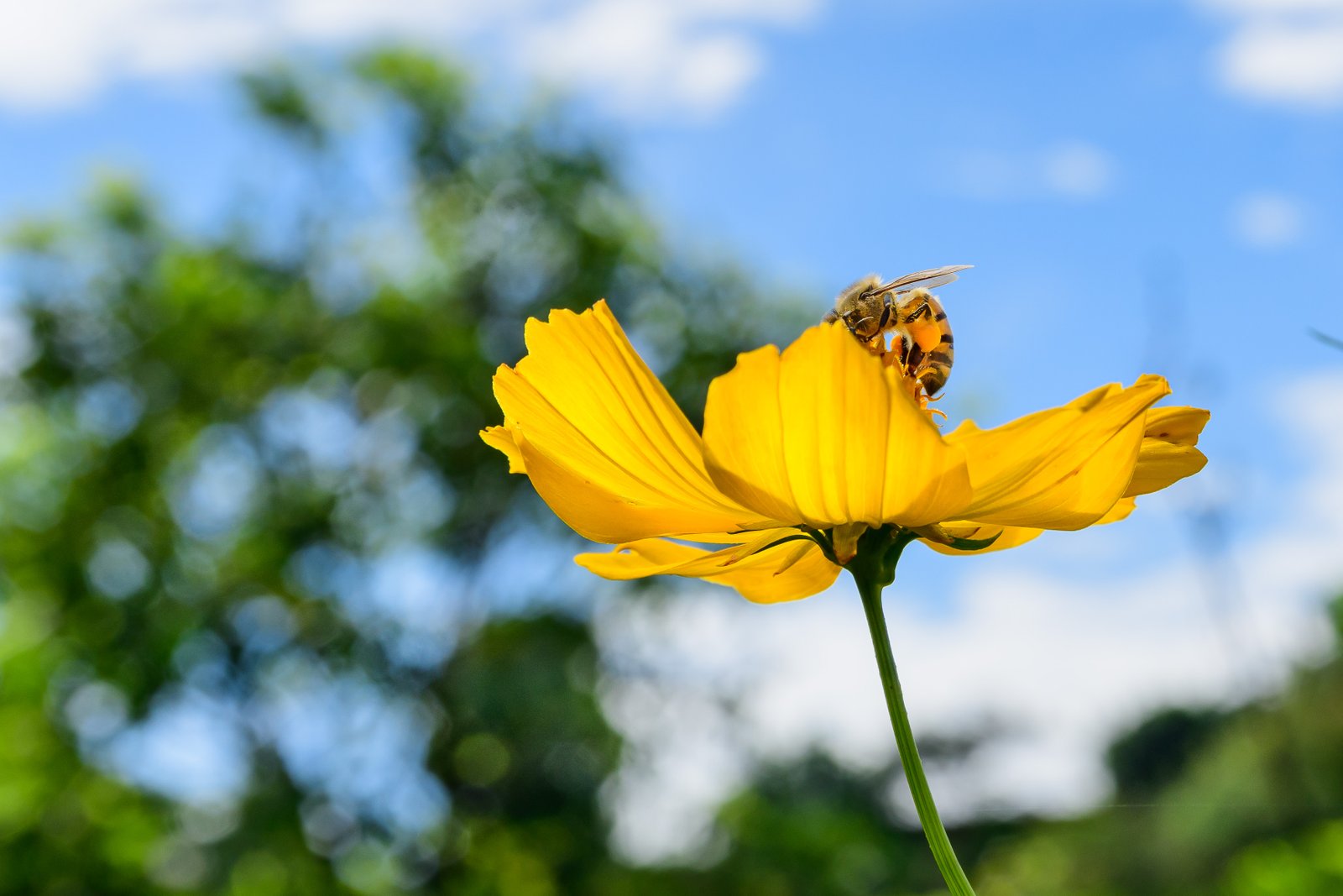 Fotografía de naturaleza en Costa Rica 31