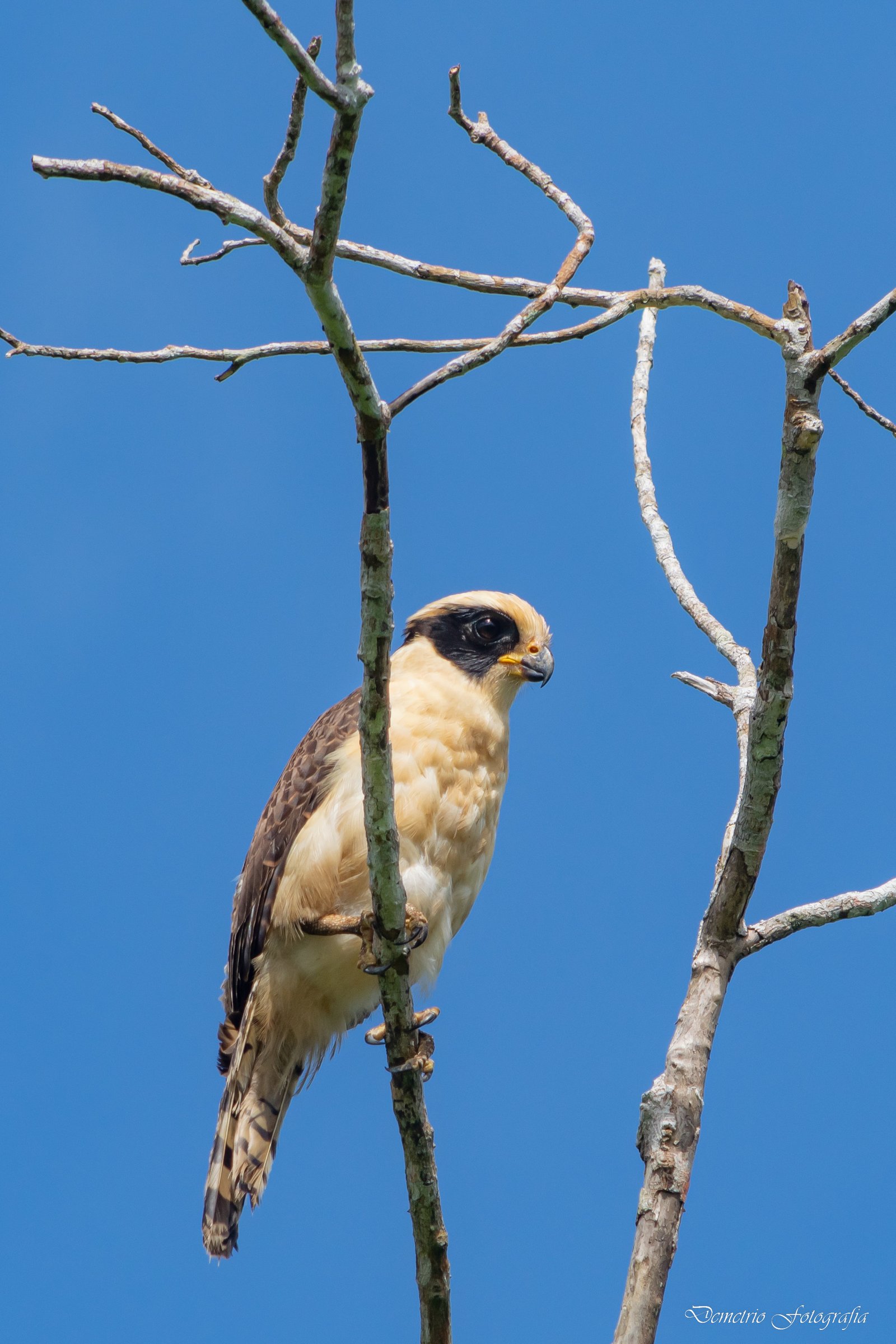Fotografía de naturaleza en Costa Rica 37