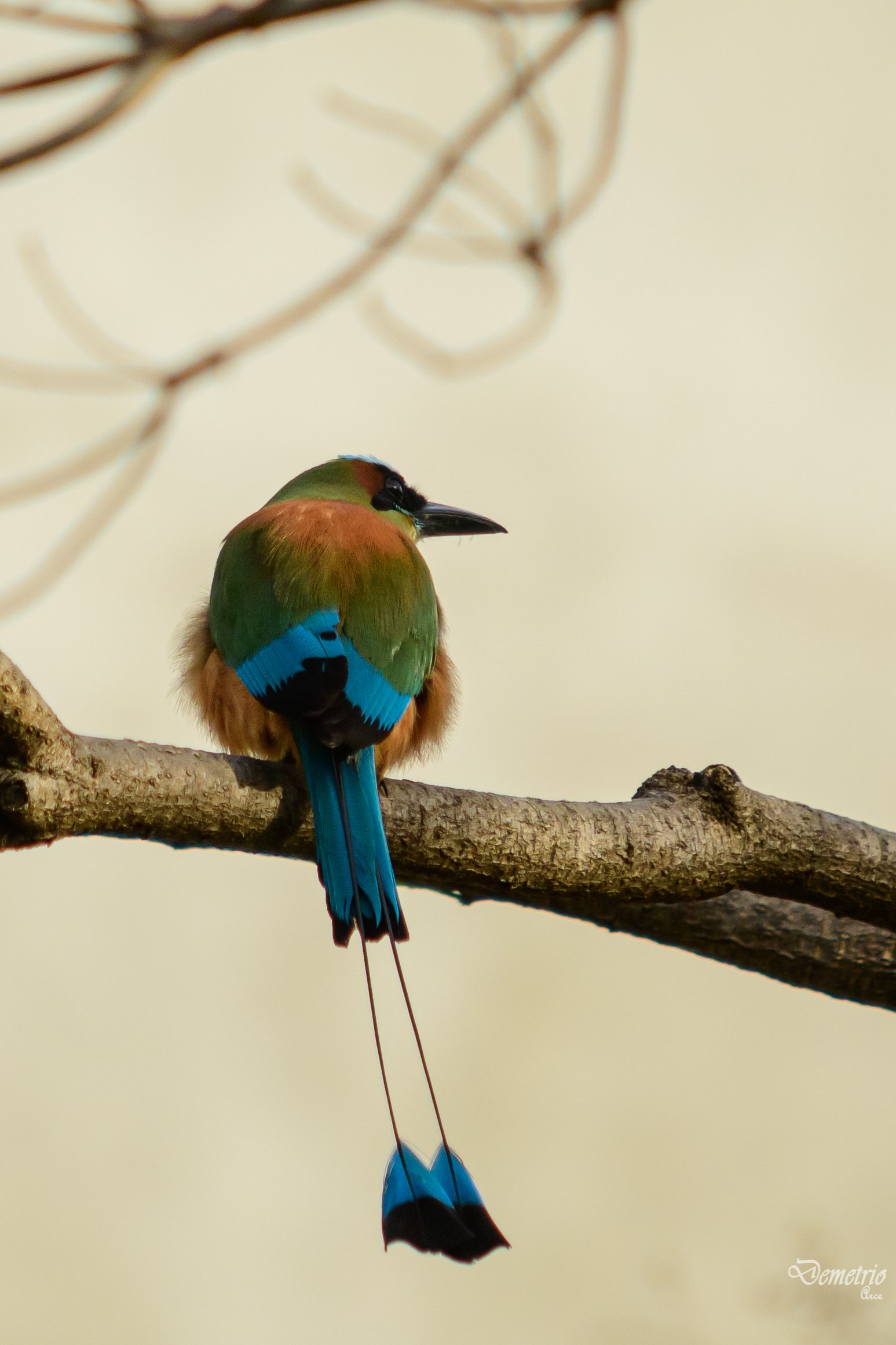 Fotografía de naturaleza en Costa Rica 38