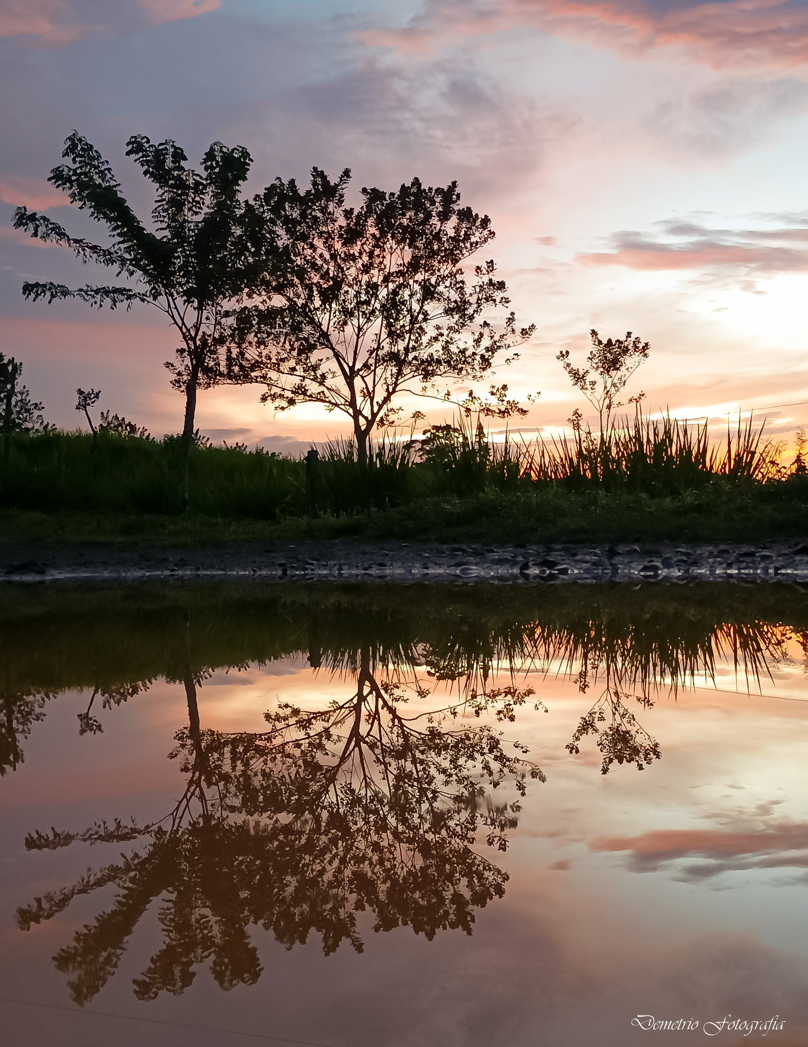 Fotografía de naturaleza en Costa Rica 41