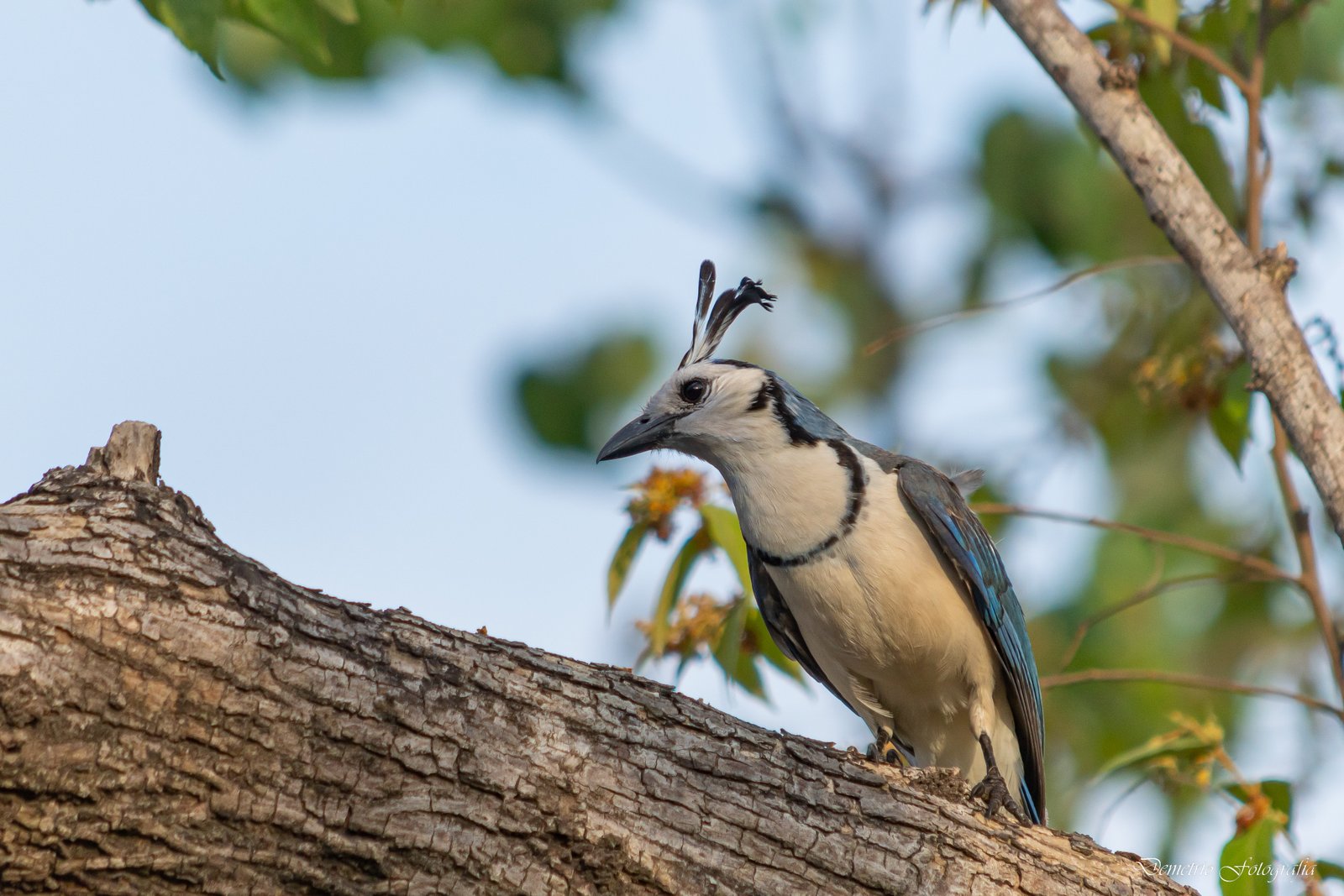 Fotografía de naturaleza en Costa Rica 42