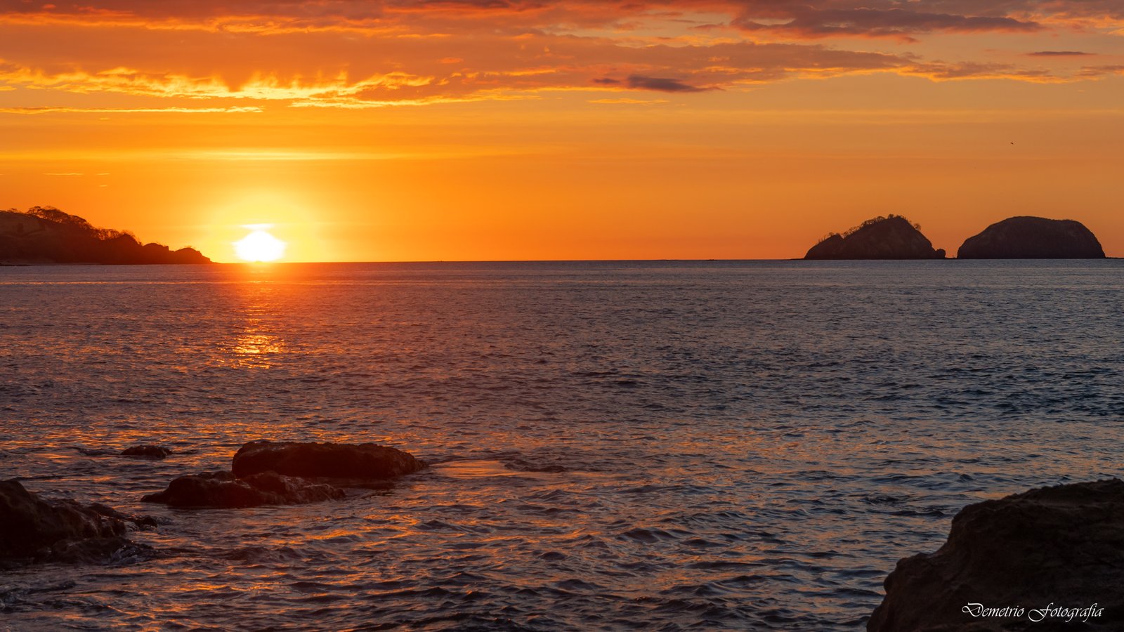 Fotografía de naturaleza en Costa Rica 46