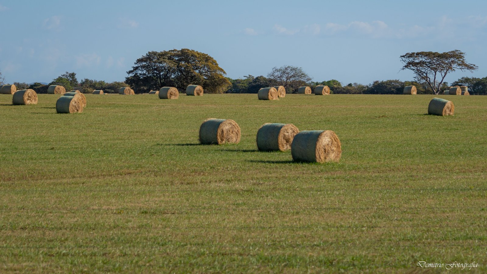 Fotografía de naturaleza en Costa Rica 47