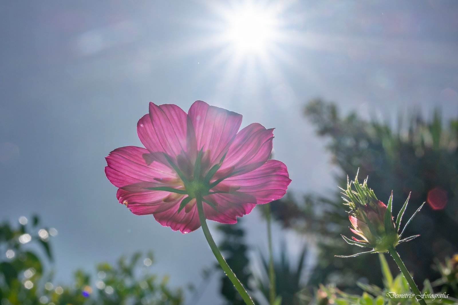 Fotografía de naturaleza en Costa Rica 50