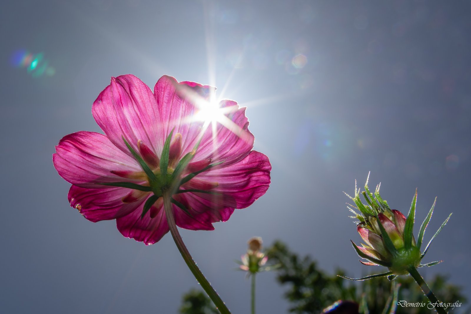 Fotografía de naturaleza en Costa Rica 51