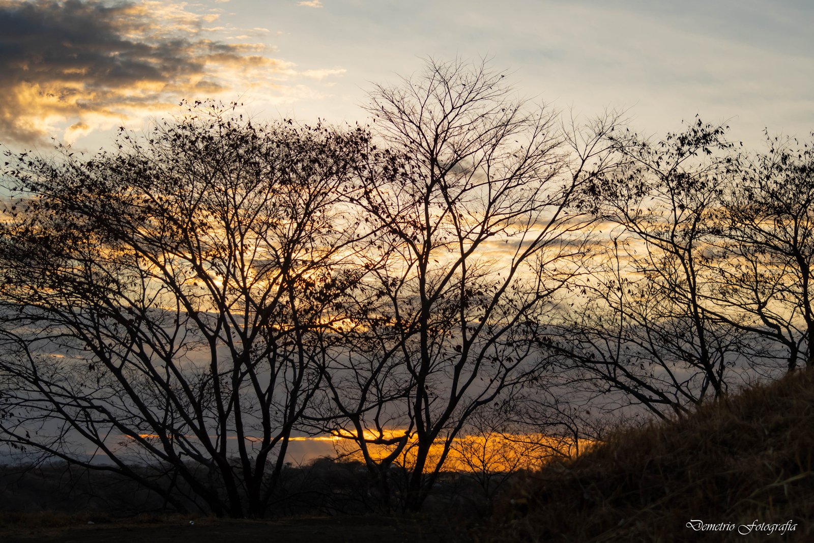 Fotografía de naturaleza en Costa Rica 55